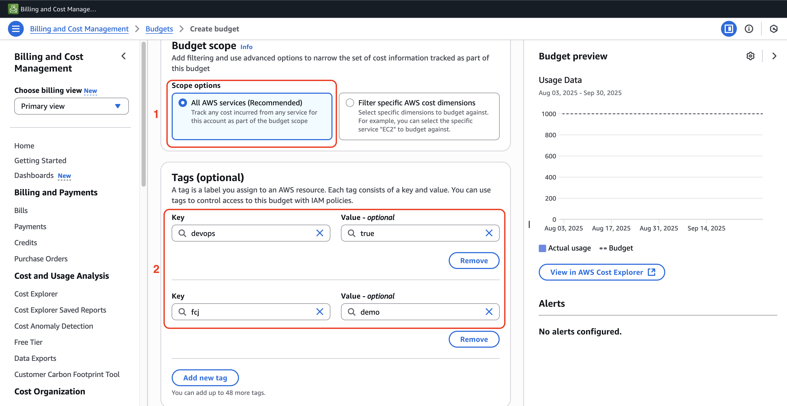 Configure budget parameters